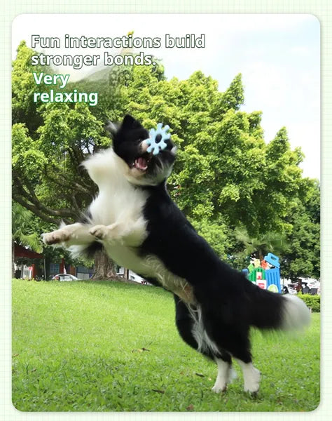 Pet Interactive Flywheel Toy — Spinning Silicone Dog Toy for Fun, Bonding & Mental Stimulation