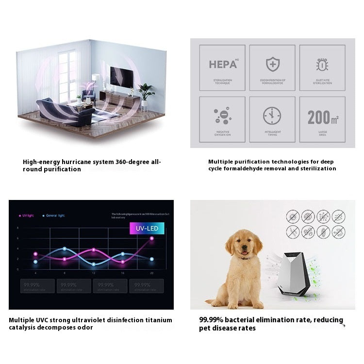Premium Desktop Air Purifier — Anion, Formaldehyde Removal & Deodorization