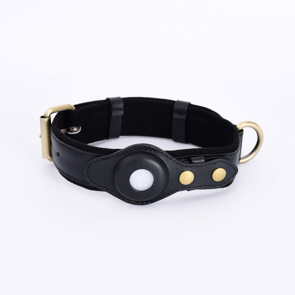 PawShield Leather GPS Tracker Collar Set – AirTag Compatible Dog Collar with Protective Case | 4 Colors, 3 Sizes