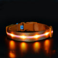 Luxury LED Safety Night Collar for Cats & Dogs — USB Rechargeable Luminous Pet Collar