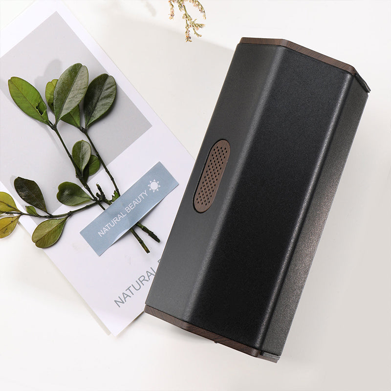 Car Air Purifier & Ozone Deodorizer — USB Rechargeable, Black & White
