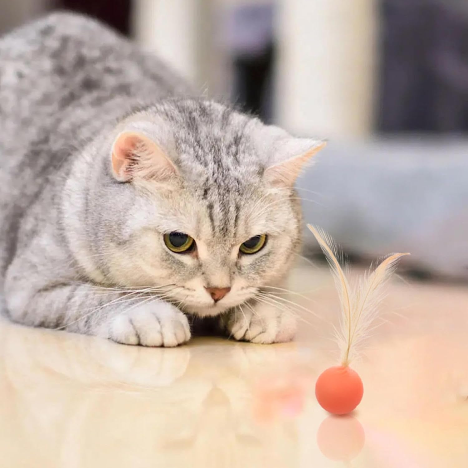 PawBounce High Elastic Jumping Ball Cat Toy – Interactive Colorful Rubber Ball for Cats & Dogs | 3 Colors