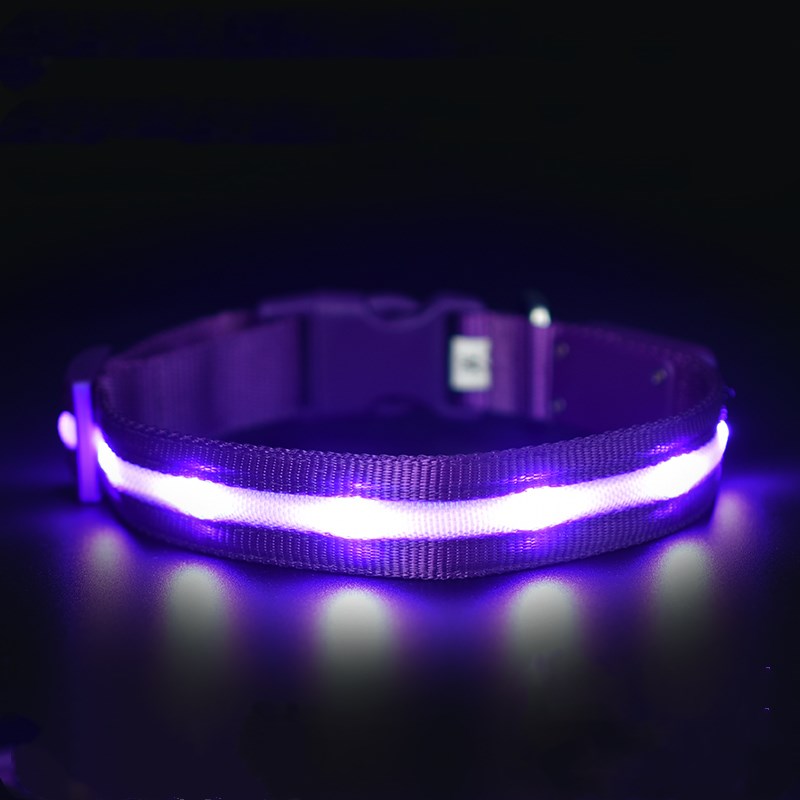 Luxury LED Safety Night Collar for Cats & Dogs — USB Rechargeable Luminous Pet Collar