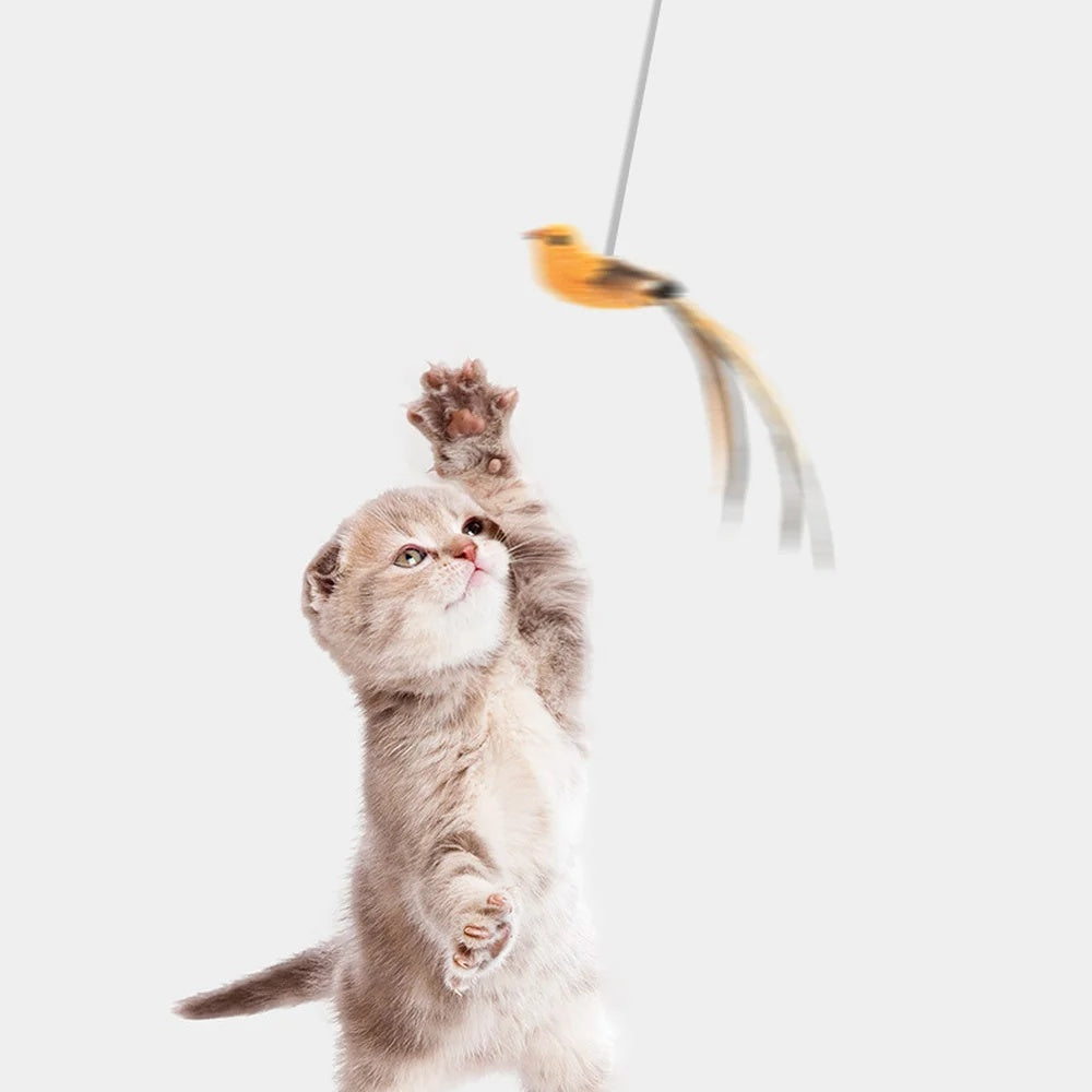 PawBird Auto-Lifting Feather Cat Toy – Automatic Rising Bird Teaser Interactive Puzzle Toy for Cats