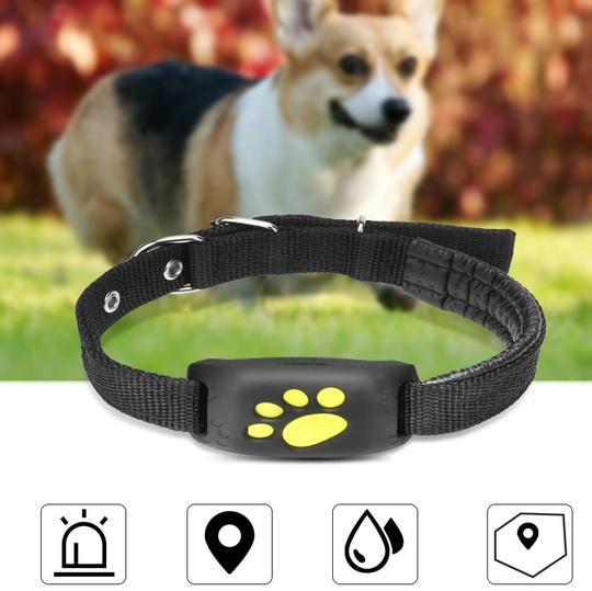 PawGuard GPS Pet Tracker – Real-Time Anti-Lost Dog & Cat Collar Device with Geofence Alarm | Multi-Pack Bundle