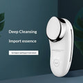Luxury Facial Beauty Instrument — Sonic Vibration & Negative Ion Skin Rejuvenation Device