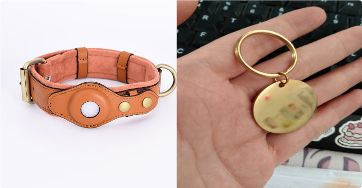 PawShield Leather GPS Tracker Collar Set – AirTag Compatible Dog Collar with Protective Case | 4 Colors, 3 Sizes