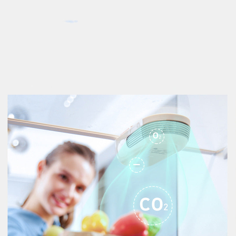 Ozone & Negative Ion Refrigerator Deodorizer Purifier — USB Powered