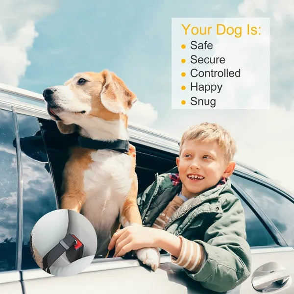 Premium 2-Pack Pet Car Safety Seat Belt — Adjustable Harness Leash for Dogs & Cats
