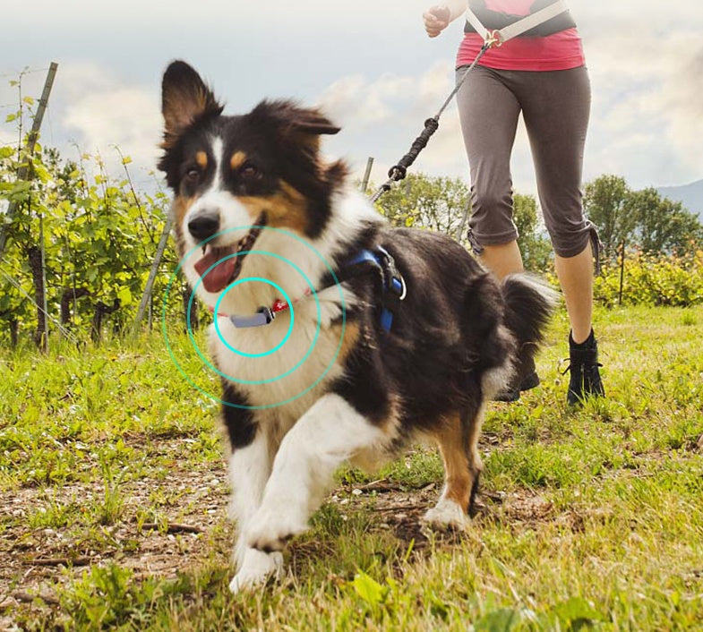 BeidouTrack GPS Pet Collar – Military-Grade Satellite Positioning with 500mAh Battery | Black & Red