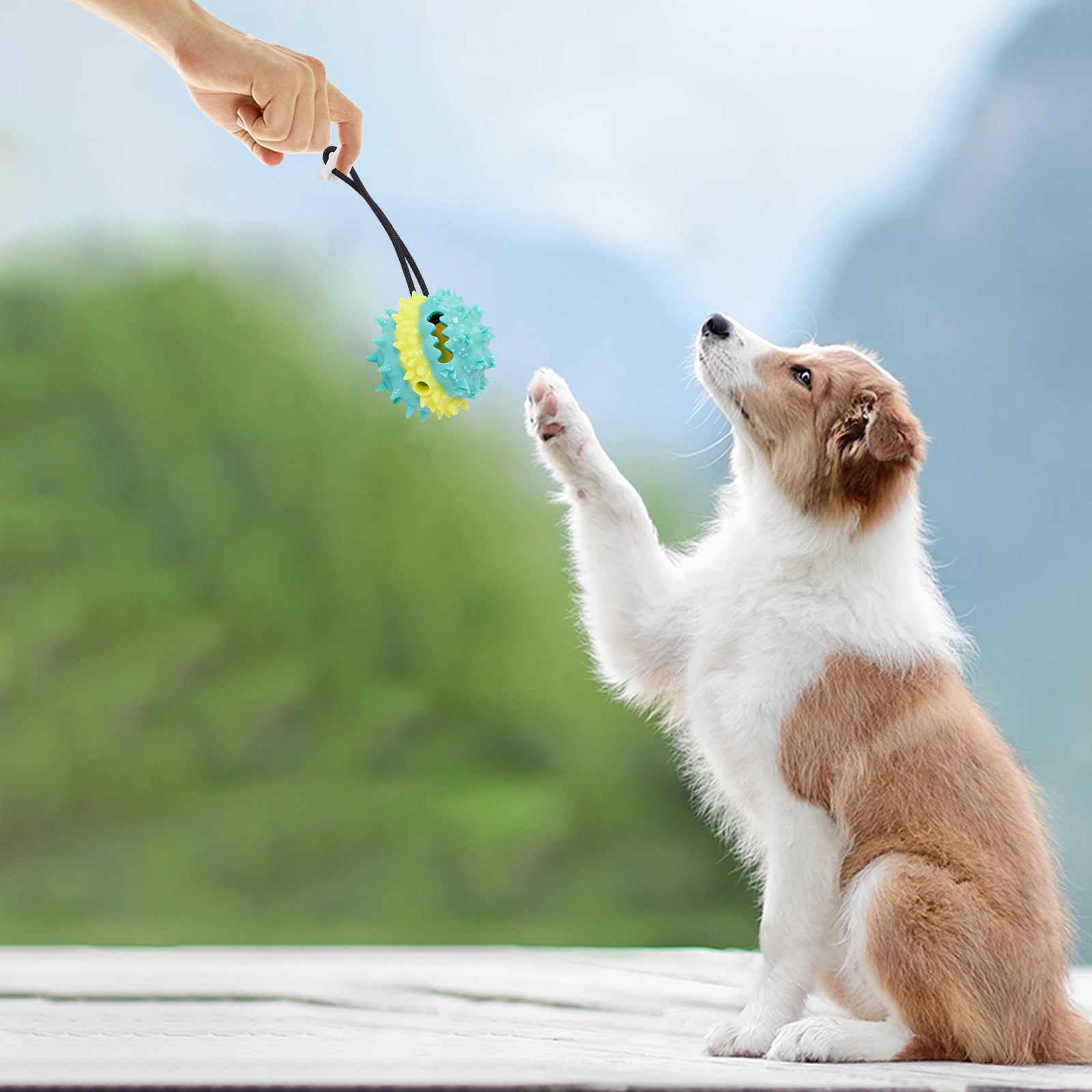PawTreat 3-in-1 Rope Squeaky Leaking Food Ball Toy – Interactive Treat Dispenser for Cats & Dogs