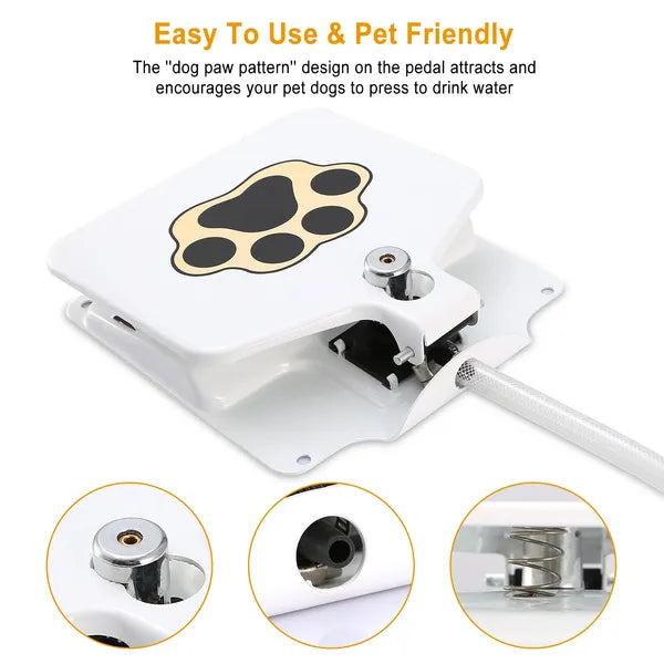Dog Water Fountain — Step-On Activated Outdoor Pet Water Dispenser & Sprinkler