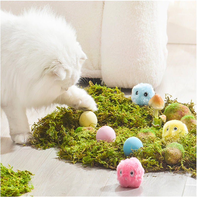 Luxury Luminous Catnip Sound Ball Cat Toy — Glowing Molar Plush Toy for Cats & Dogs