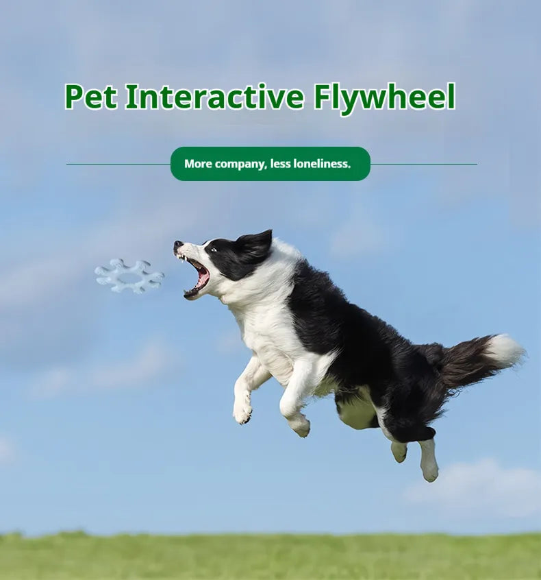 Pet Interactive Flywheel Toy — Spinning Silicone Dog Toy for Fun, Bonding & Mental Stimulation