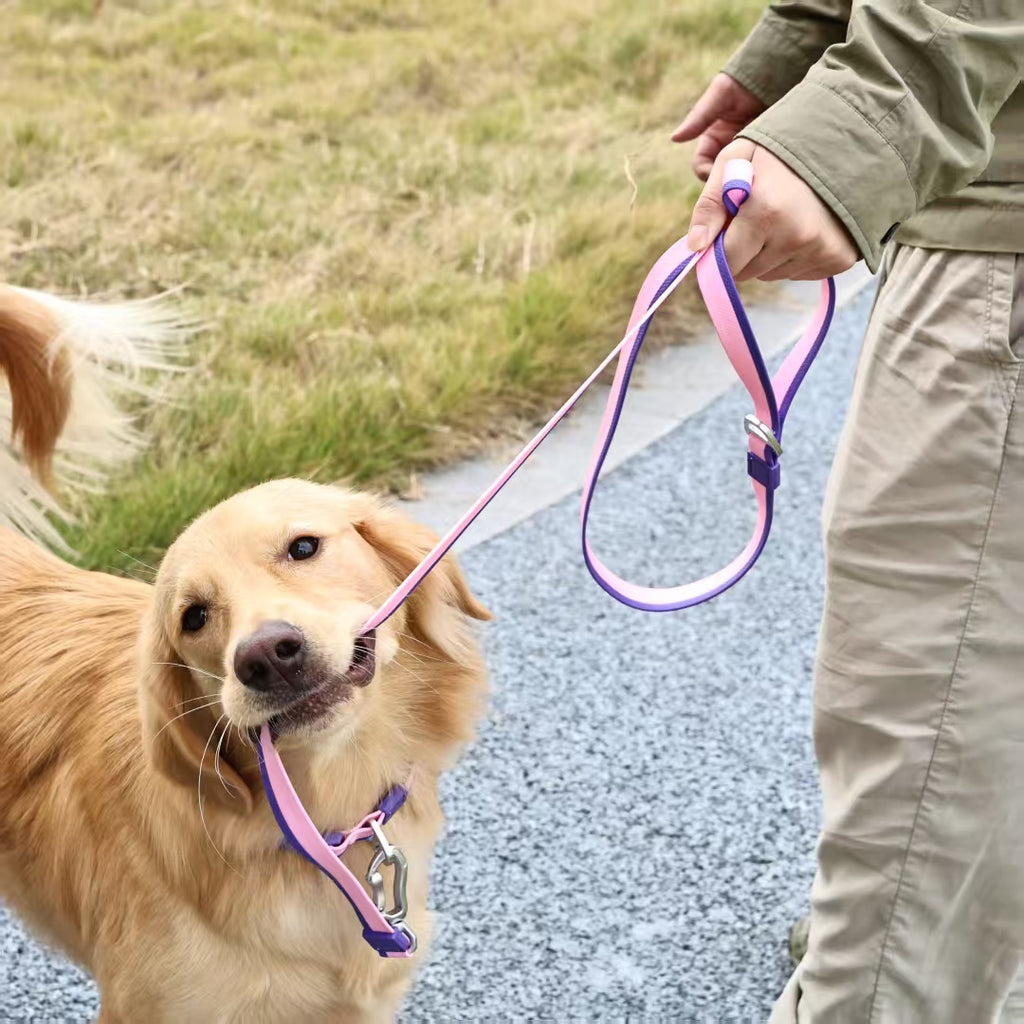 Dual-Color Embossed Pet Leash Set — Waterproof PVC Collar & Leash with DIY Accessories for Dogs
