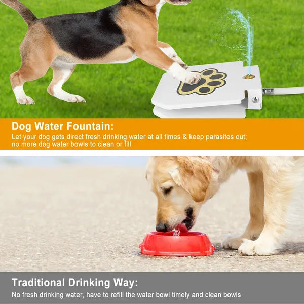 Dog Water Fountain — Step-On Activated Outdoor Pet Water Dispenser & Sprinkler