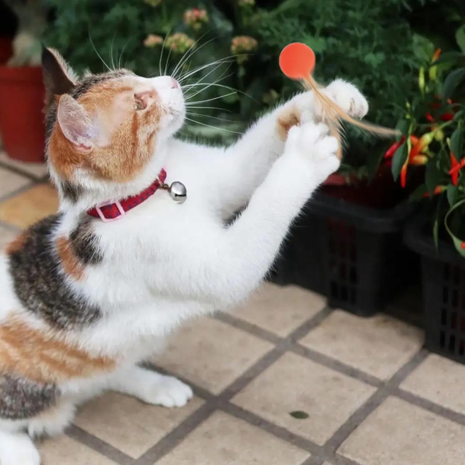 PawBounce High Elastic Jumping Ball Cat Toy – Interactive Colorful Rubber Ball for Cats & Dogs | 3 Colors