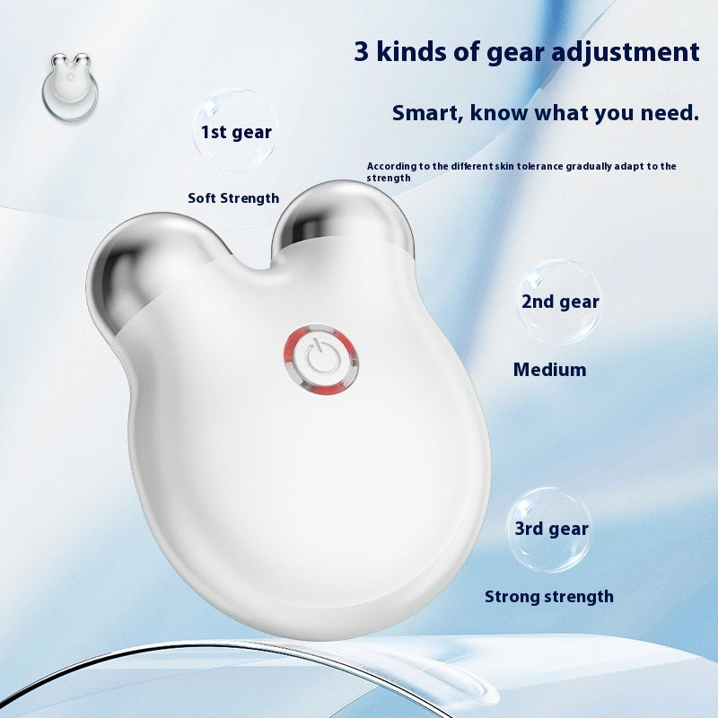 Luxury Bear-Face Microcurrent EMS Facial Sculpting Device — Anion Skin Renewal & Color Light Therapy