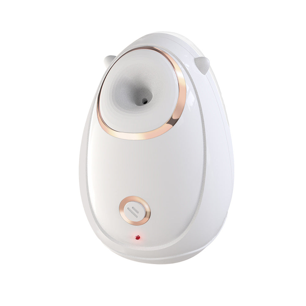 Luxury Hot Steam Facial Mist Steamer — Deep Pore Cleansing & Hydration Beauty Device