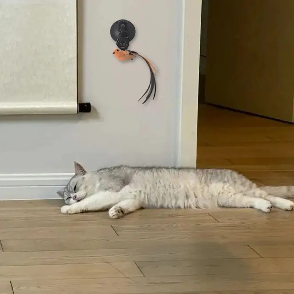 PawBird Auto-Lifting Feather Cat Toy – Automatic Rising Bird Teaser Interactive Puzzle Toy for Cats