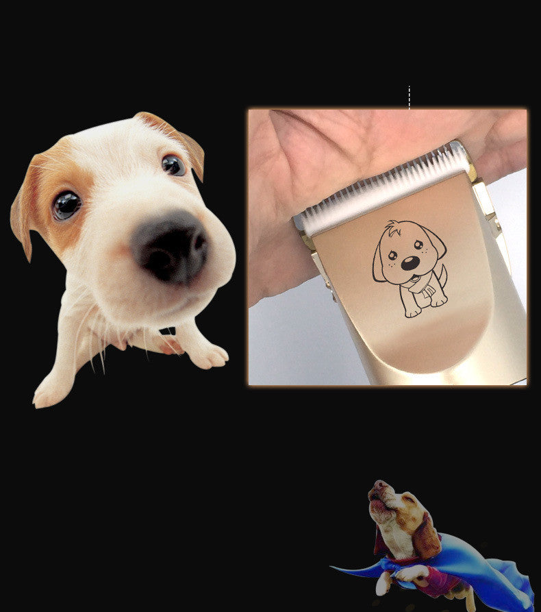 Image 1: "Professional pet hair trimmer rechargeable grooming clippers for dogs and cats"
Image 2: "Cordless pet grooming clippers with guide combs and accessories"
Image 3: "Quiet low vibration pet hair trimmer with stainless steel blades"
Image 4: "Professional dog clippers trimming pet fur"
Image 5: "Rechargeable pet grooming kit with multiple guide combs"
Image 6: "Pet hair trimmer with USB charging cable and cleaning brush"
Image 7: "Professional grooming clippers for cats and dogs all breeds"
Image 8: