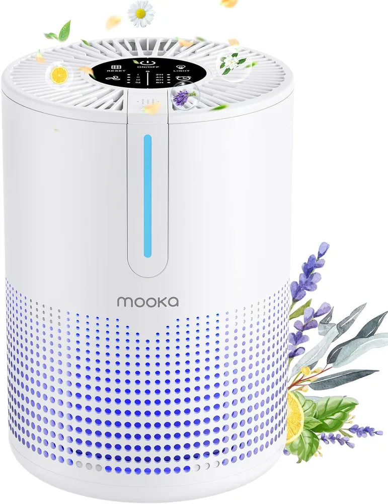b81fde9c6c61b1f04a9a5e44e3fcba18
