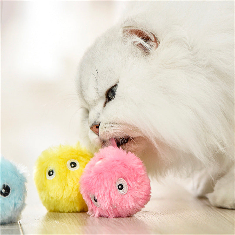 Luxury Luminous Catnip Sound Ball Cat Toy — Glowing Molar Plush Toy for Cats & Dogs