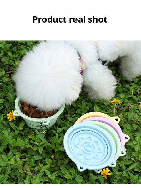 3-in-1 Collapsible Pet Travel Bowl — Slow Feeder, Suction Cup & Collar Hook